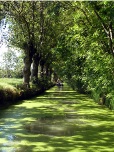 The Canals of the Marais Poitevin, France