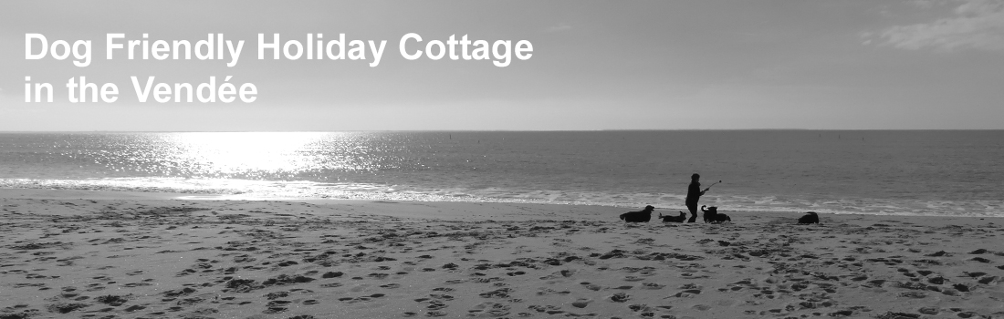 Dog friendly holiday cottages in France