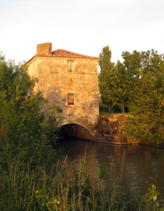 The Canals near Angles, Vendee